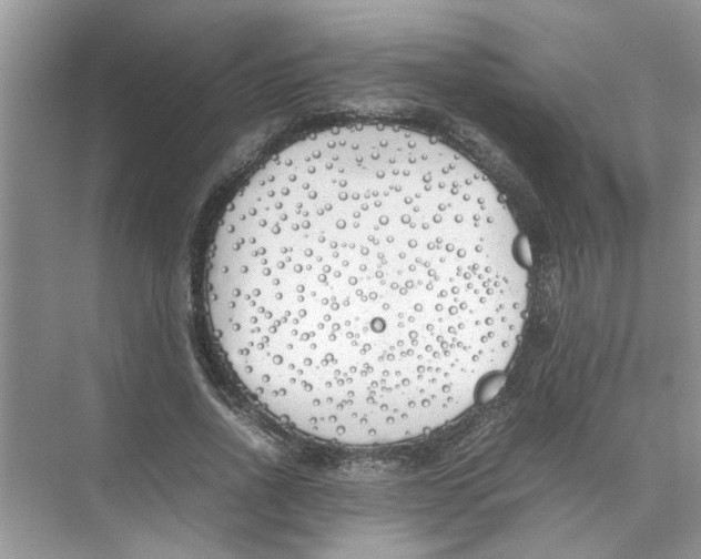 X0000074310734200609230000