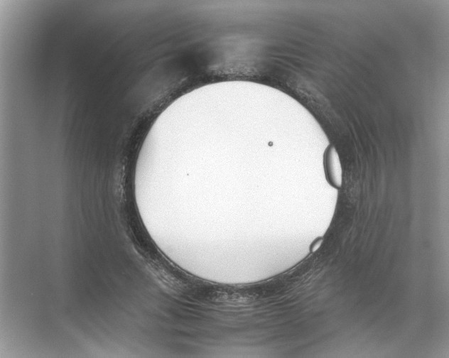 X0000074310735200609230000