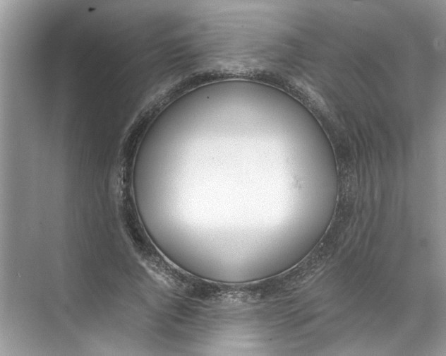 X0000074310736200609230000