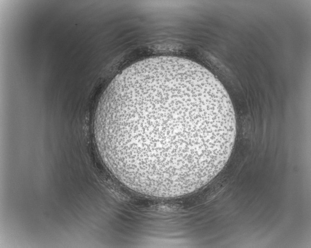 X0000074310737200609230000