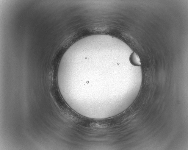 X0000074310739200609230000