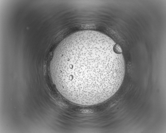 X0000074310741200609230000