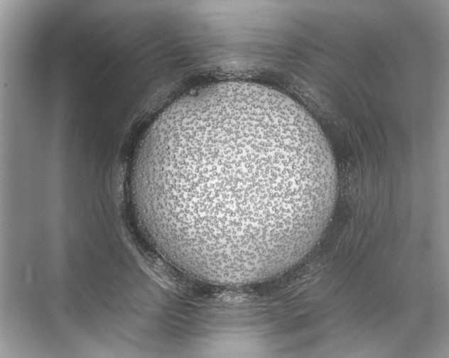 X0000074310742200609230000