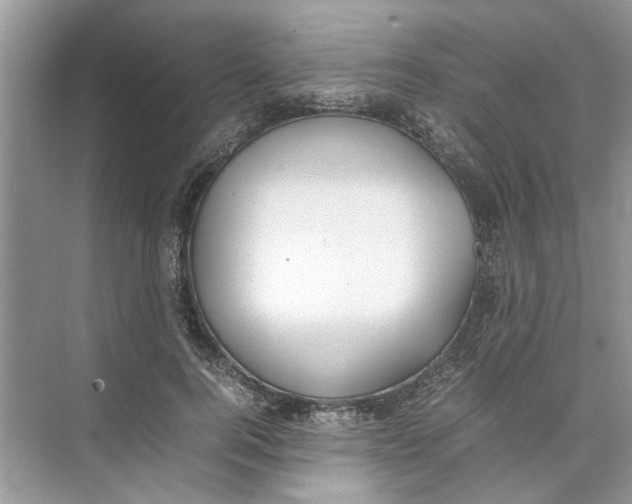 X0000074310744200609230000