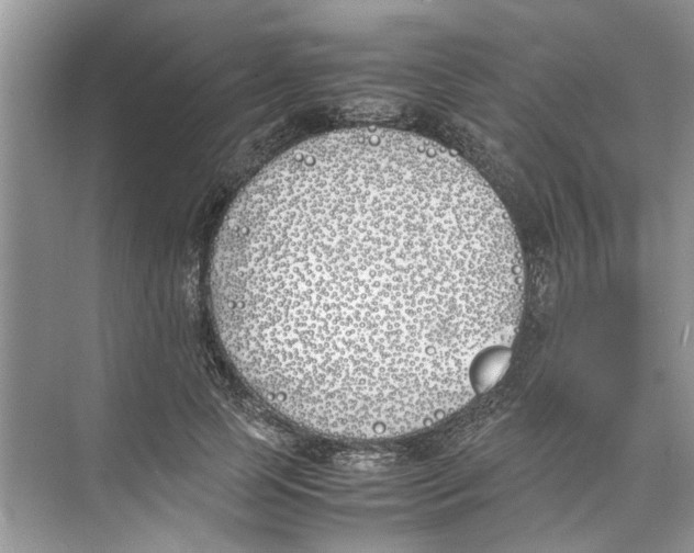 X0000074310745200609230000