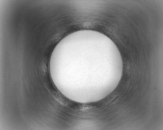 X0000074310746200609230000