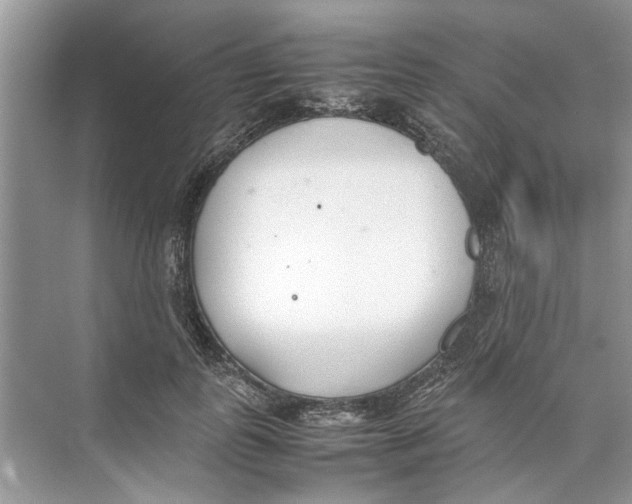 X0000074310747200609230000