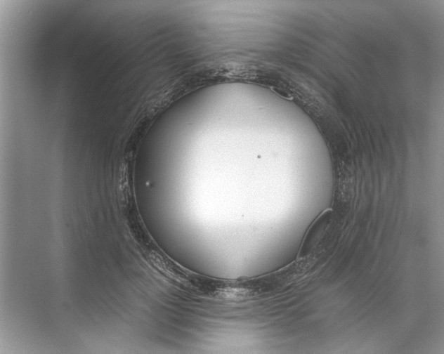 X0000074310748200609230000