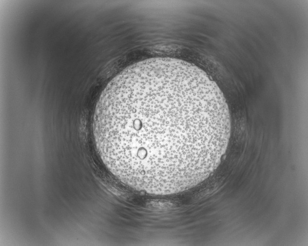 X0000074310749200609230000