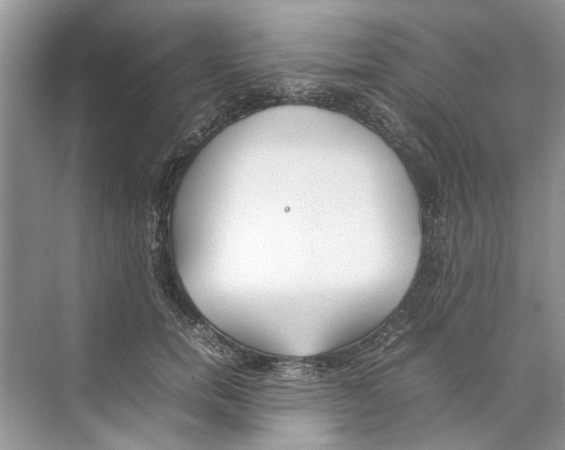 X0000074310750200609230000