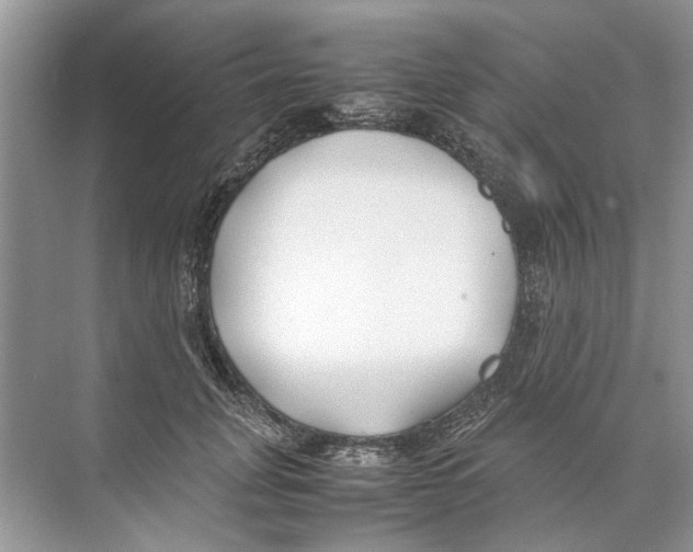 X0000074310751200609230000