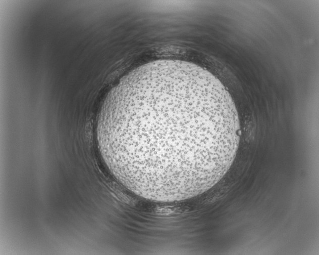 X0000074310753200609230000