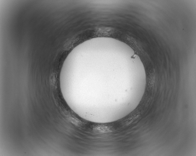 X0000074310759200609230000