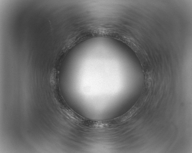 X0000074310760200609230000