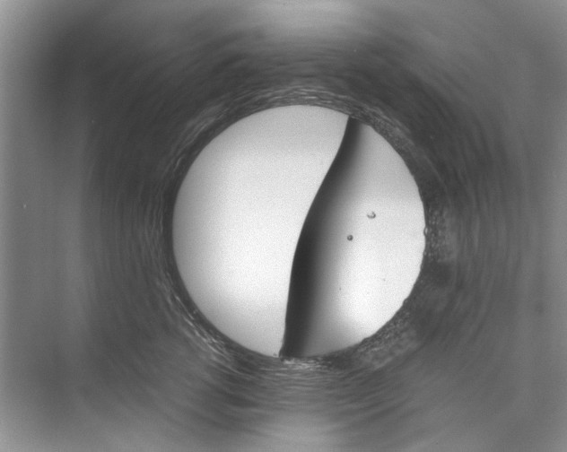 X0000074310762200609230000