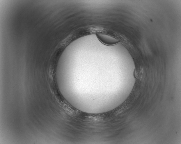 X0000074310763200609230000