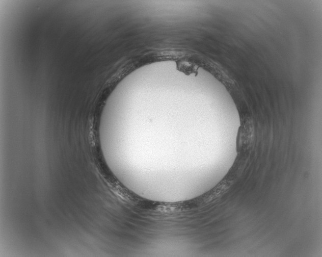 X0000074310764200609230000