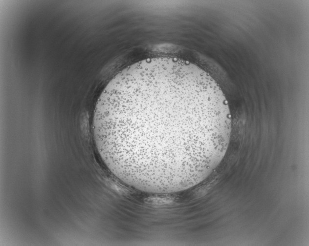 X0000074310765200609230000