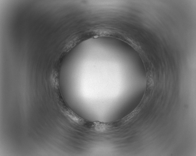 X0000074310766200609230000