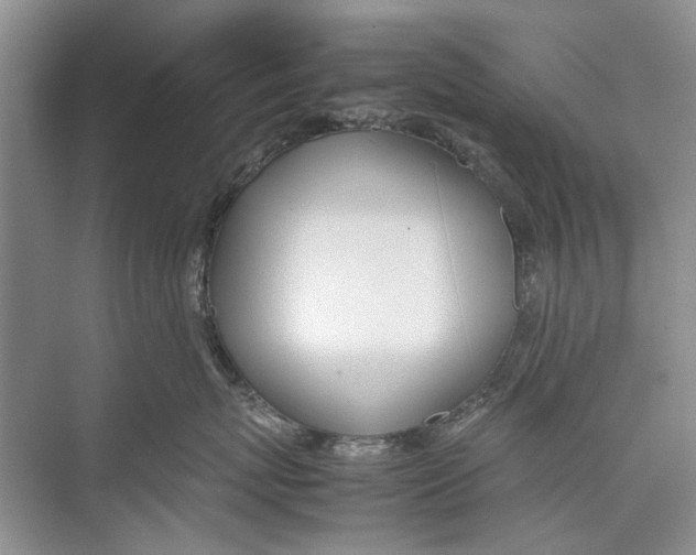 X0000074310767200609230000