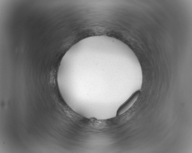 X0000074310768200609230000