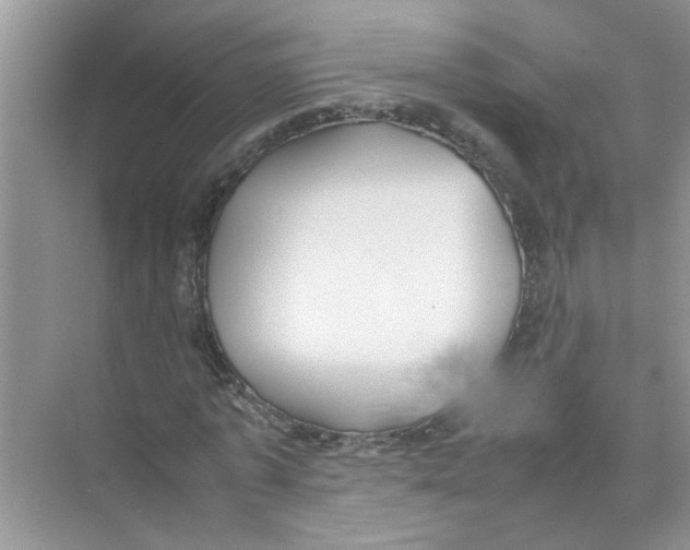 X0000074310773200609230000