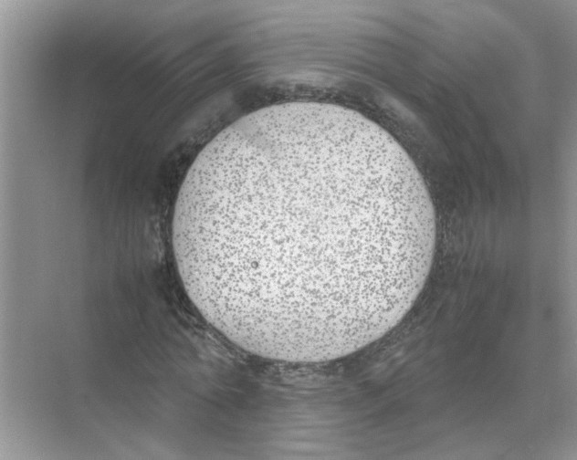 X0000074310774200609230000