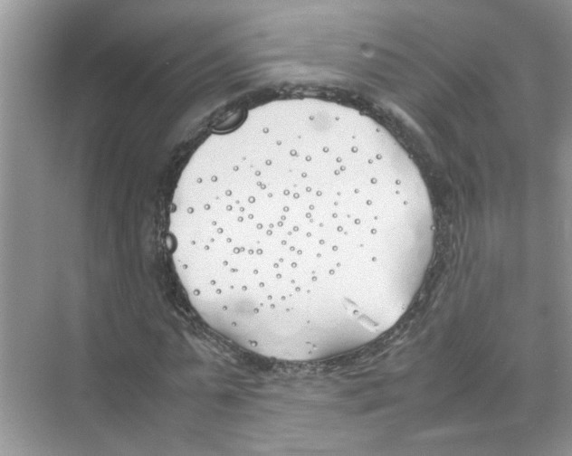 X0000074310775200609230000