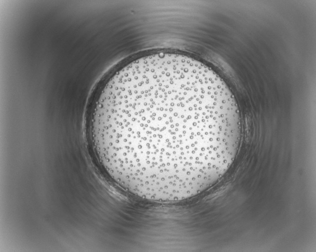 X0000074310780200609222359