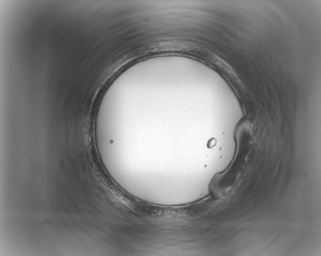 X0000074310786200609222359