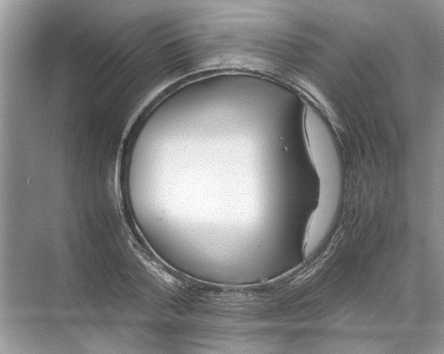 X0000074310788200609222359