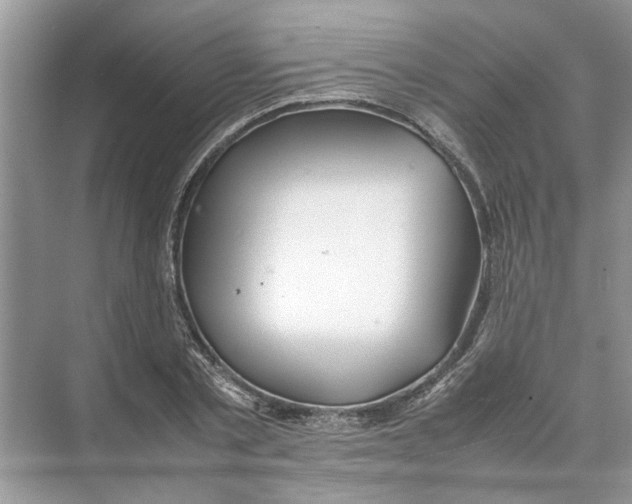 X0000074310789200609222359