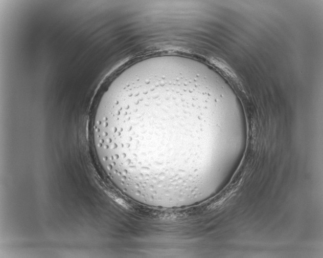 X0000074310790200609222359