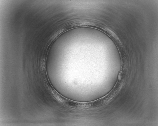 X0000074310793200609222359