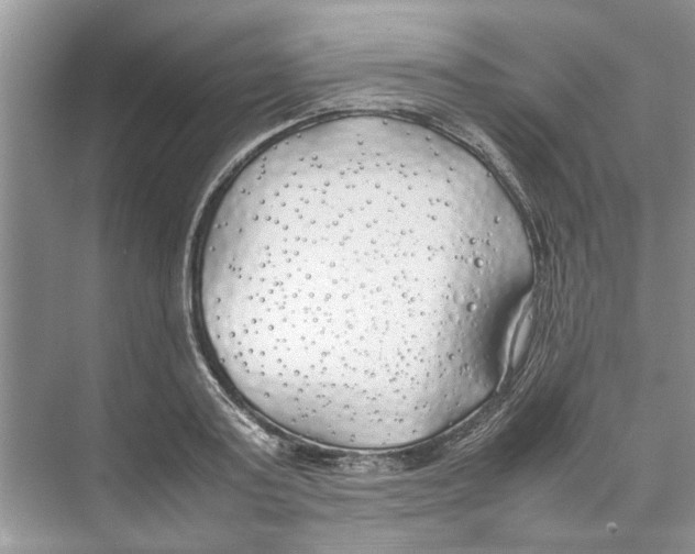 X0000074310795200609222359