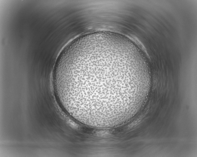 X0000074310798200609222359