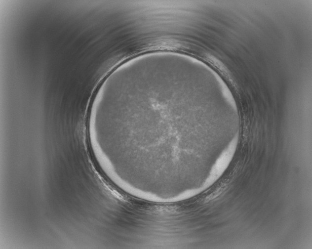 X0000074310802200609222359