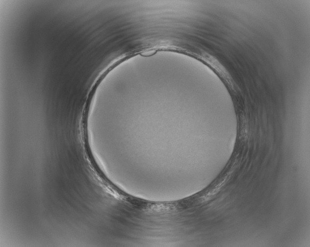 X0000074310806200609222359