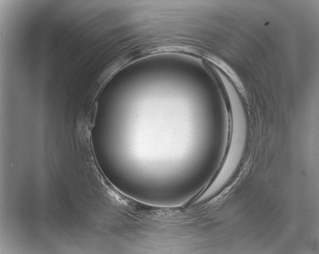 X0000074310809200609222359