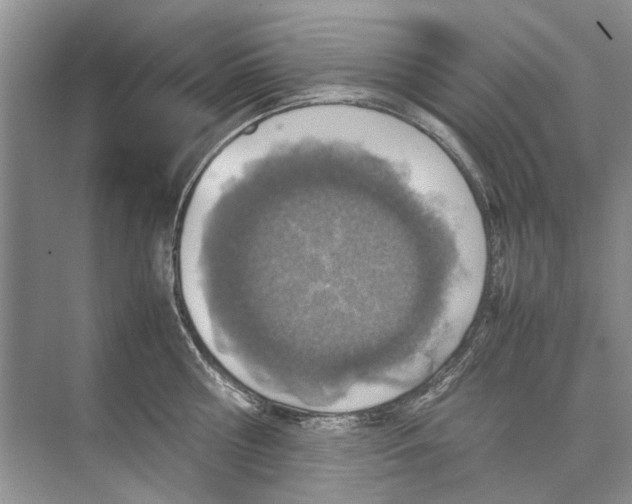 X0000074310810200609222359