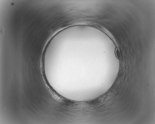 X0000074310811200609222359