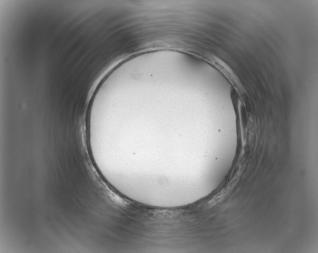 X0000074310812200609222359