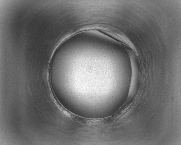 X0000074310813200609222359