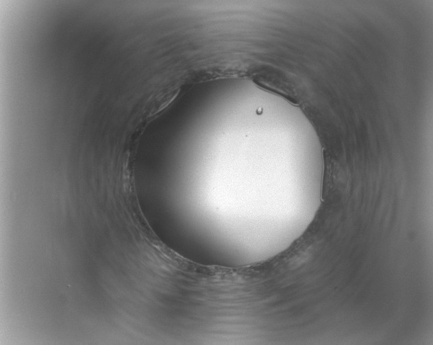 X0000074310818200609222358