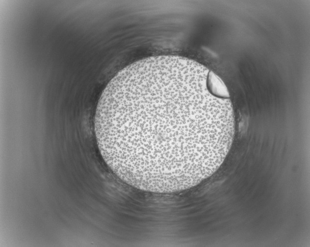 X0000074310819200609222358