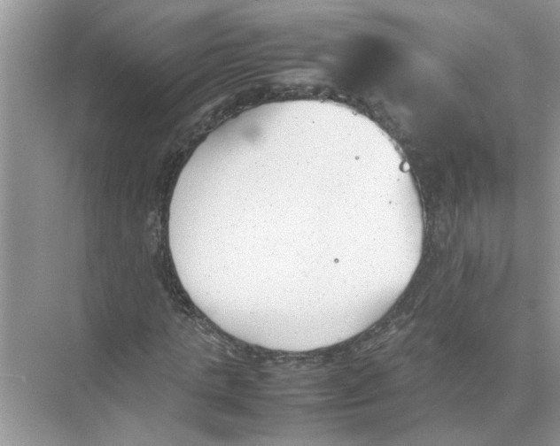 X0000074310821200609222358