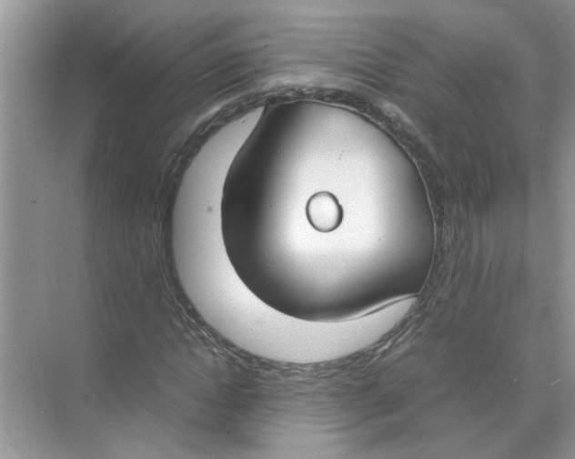 X0000074310822200609222358