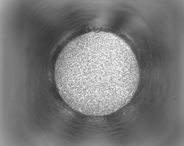 X0000074310823200609222358