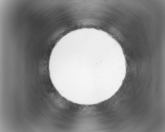 X0000074310824200609222358