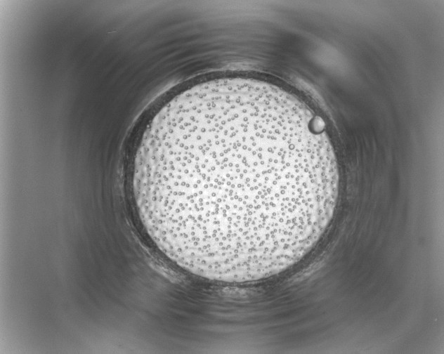 X0000074310827200609222358